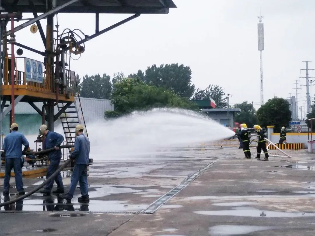 15937620416537597aIm.jpeg 640-6.jpeg